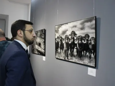В Нижнем Новгороде открылась выставка бразильских фотографов в рамках «Дней культуры Бразилии»