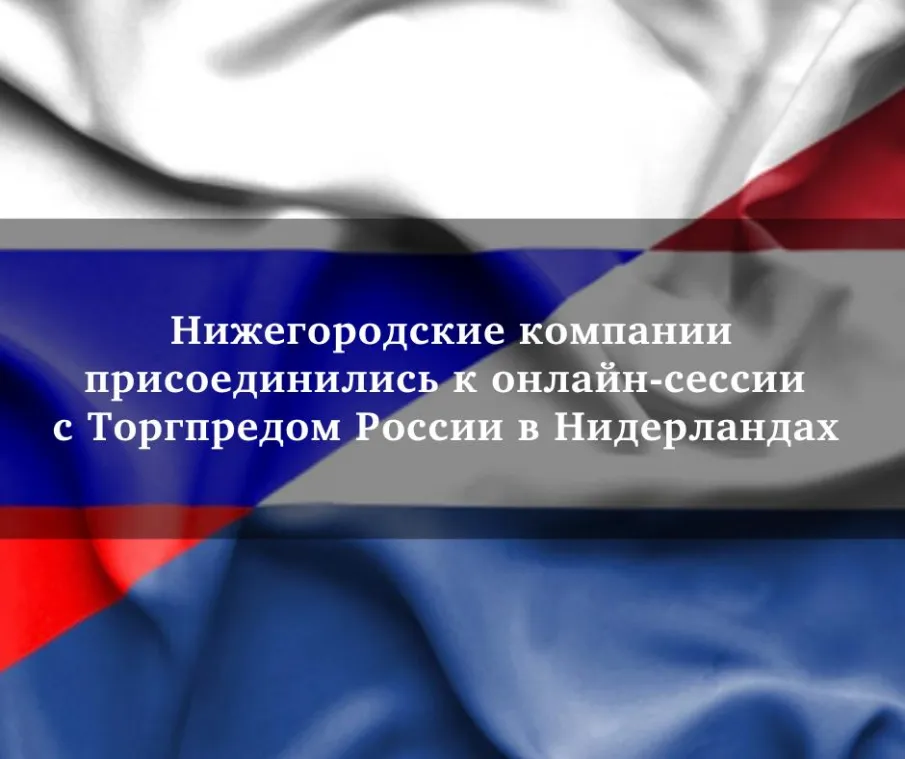 Нижегородские компании присоединились к Часу с торгпредом РФ в Королевстве Нидерландов