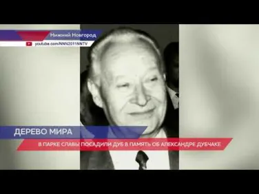 Словацкие и чешские дипломаты прибыли с рабочим визитом в Нижний Новгород