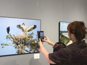 С Всемирным Днем фотографии!