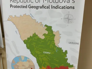 В ТПП Нижегородской области прошли переговоры представителей региональных компаний и посольства Молдовы в России