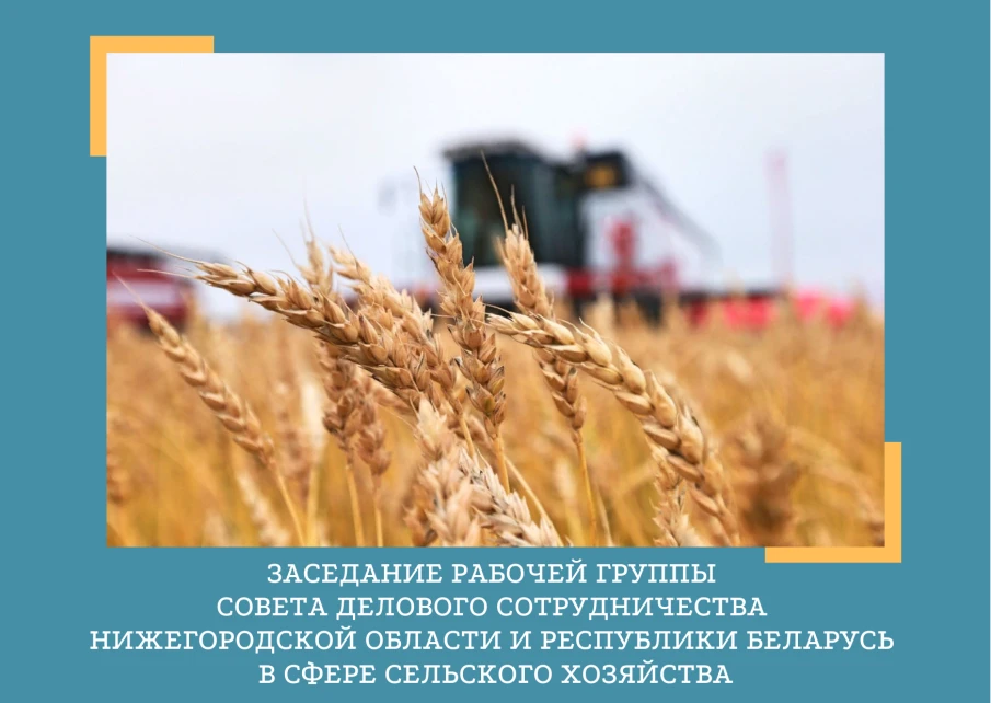 Нижегородские и белорусские аграрии обсудили перспективы двустороннего сотрудничества